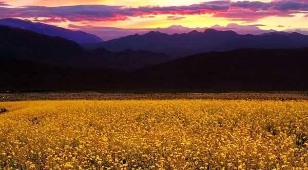 Must Visit Places in India