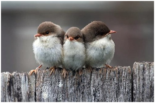 Proverbs for Corporates