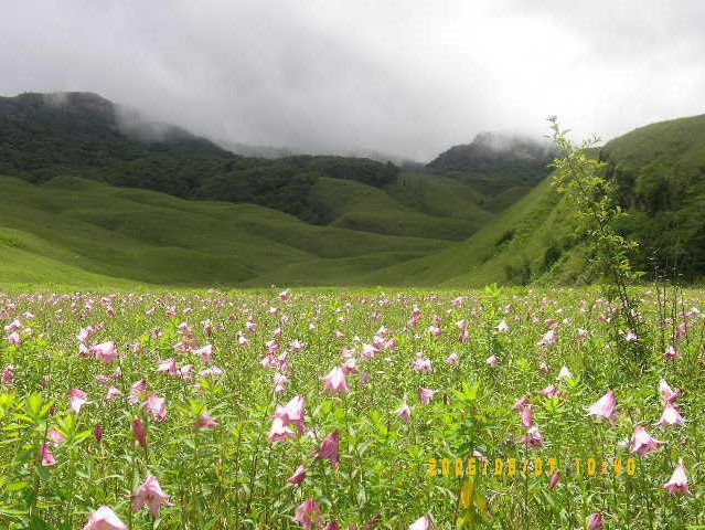 Siroi Hiils - 7 Sisters