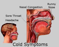 Common Cold