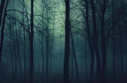 Darkness In the Forest