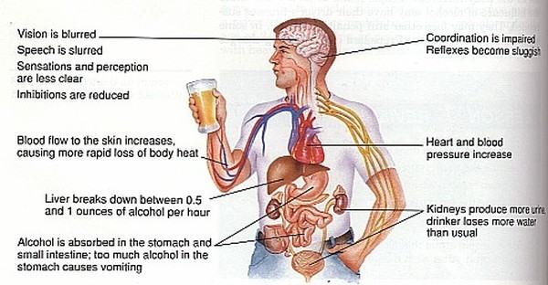 Effects of Alcohol