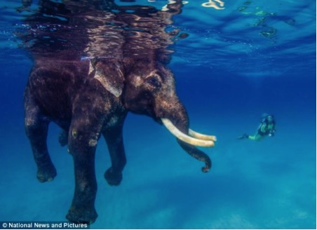 Adventurous Things You Can Do In India