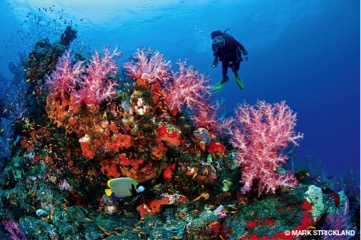 Andamans - Unexplored travel destinations of India