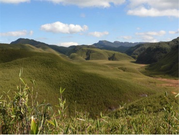 Dzuko Valley - Unexplored travel destinations of India