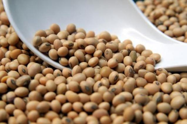 healthy foods - Soya