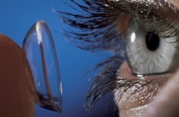 Contact Lenses