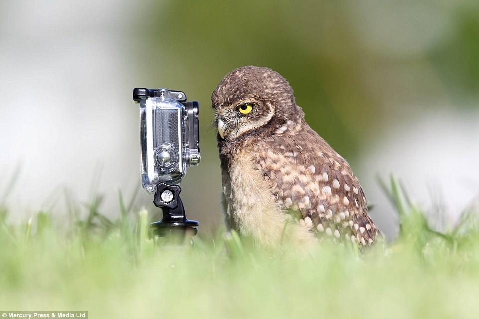 go pro to record Alien Attack