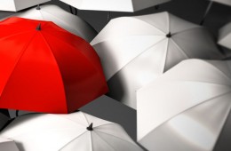 Alternate Professions