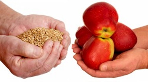 Life Without Banking System