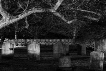 Climax scene from Shekhar is sleeping like dead