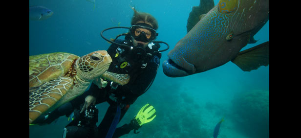 beginner level scuba diving