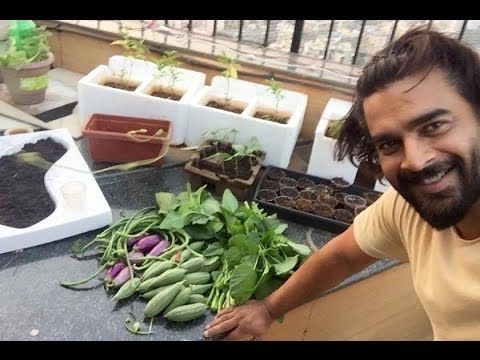 Vegetarian Actors - Madhavan