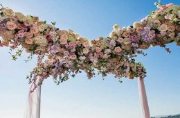 Biggest Marriages in India