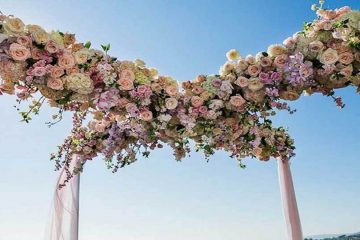 Biggest Marriages in India