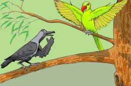 Crows and the Parrots